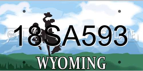18SA593 Wyoming License Plate
