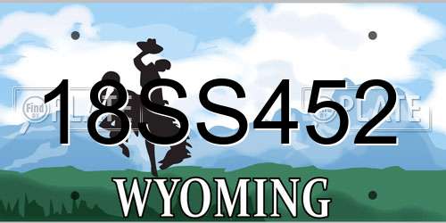 18SS452 Wyoming License Plate