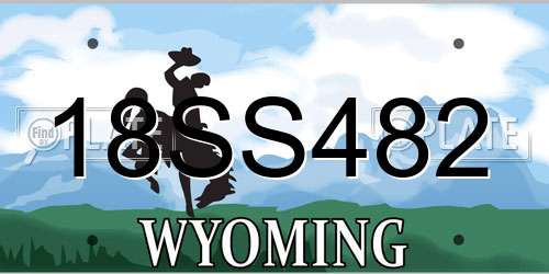 18SS482 Wyoming License Plate