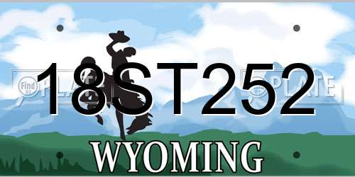 18ST252 Wyoming License Plate