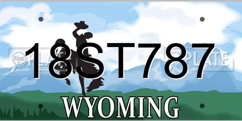 18ST787 Wyoming License Plate