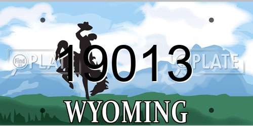 19013 Wyoming License Plate