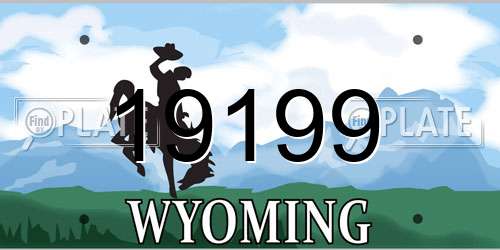 19199 Wyoming License Plate