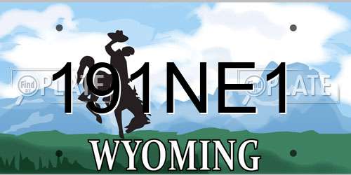 191NE1 Wyoming License Plate