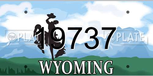 19737 Wyoming License Plate