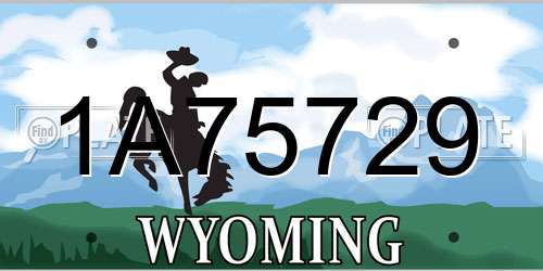 1A75729 Wyoming License Plate
