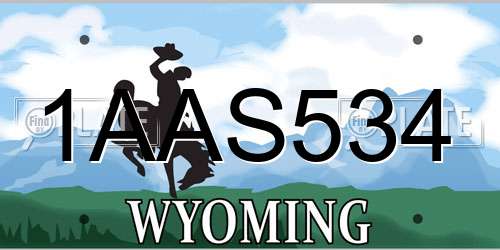 1AAS534 Wyoming License Plate