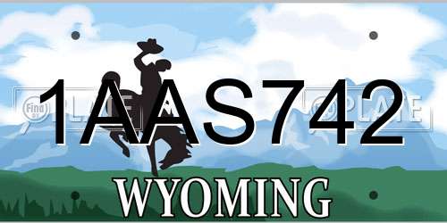 1AAS742 Wyoming License Plate