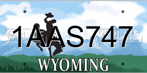 1AAS747 Wyoming License Plate
