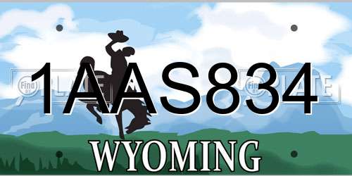 1AAS834 Wyoming License Plate
