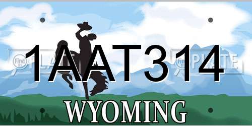 1AAT314 Wyoming License Plate