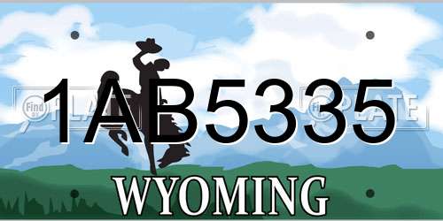 1AB5335 Wyoming License Plate