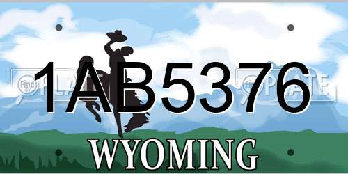 1AB5376 Wyoming License Plate