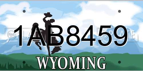 1AB8459 Wyoming License Plate