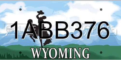 1ABB376 Wyoming License Plate