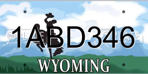 1ABD346 Wyoming License Plate