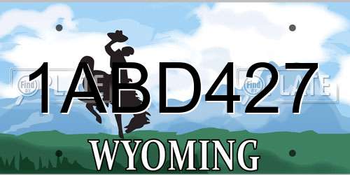 1ABD427 Wyoming License Plate