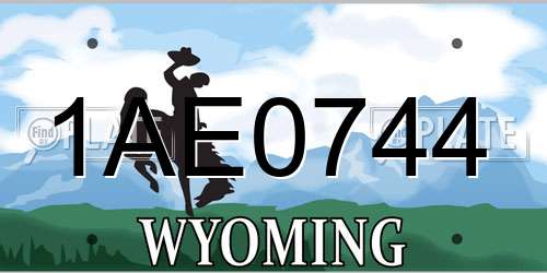 1AE0744 Wyoming License Plate
