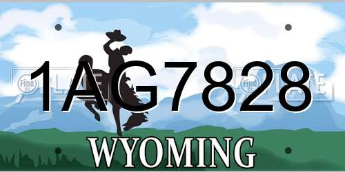 1AG7828 Wyoming License Plate