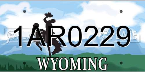 1AR0229 Wyoming License Plate