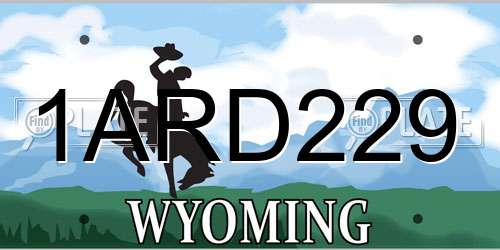1ARD229 Wyoming License Plate