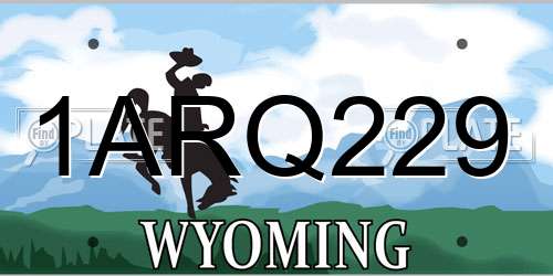 1ARQ229 Wyoming License Plate