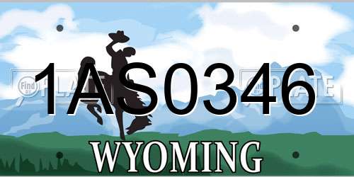 1AS0346 Wyoming License Plate