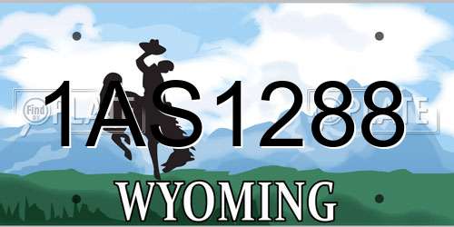 1AS1288 Wyoming License Plate