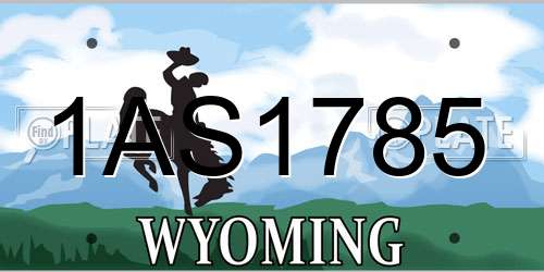 1AS1785 Wyoming License Plate