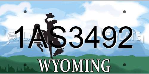 1AS3492 Wyoming License Plate