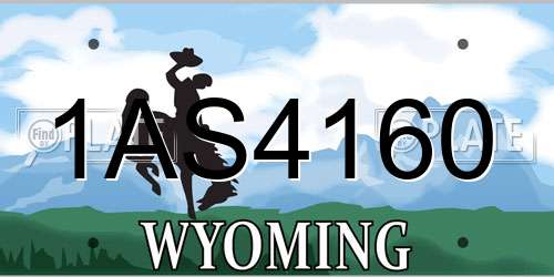 1AS4160 Wyoming License Plate