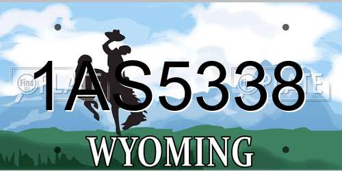 1AS5338 Wyoming License Plate