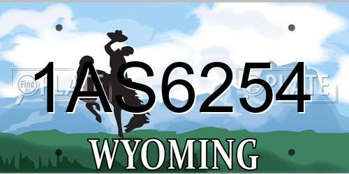 1AS6254 Wyoming License Plate