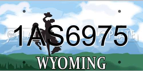 1AS6975 Wyoming License Plate