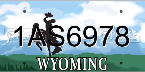 1AS6978 Wyoming License Plate