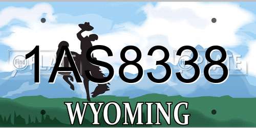 1AS8338 Wyoming License Plate