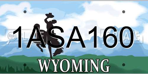 1ASA160 Wyoming License Plate