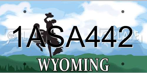 1ASA442 Wyoming License Plate