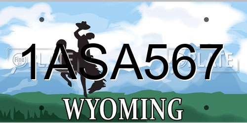 1ASA567 Wyoming License Plate
