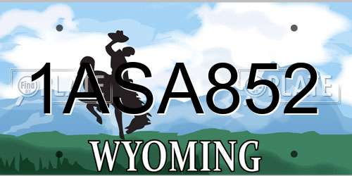 1ASA852 Wyoming License Plate