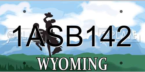 1ASB142 Wyoming License Plate