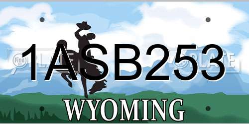 1ASB253 Wyoming License Plate