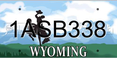 1ASB338 Wyoming License Plate