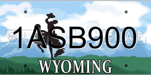 1ASB900 Wyoming License Plate