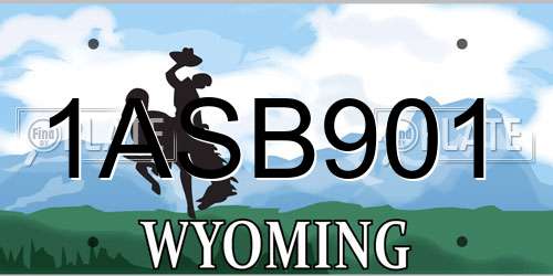 1ASB901 Wyoming License Plate