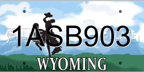 1ASB903 Wyoming License Plate