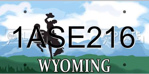 1ASE216 Wyoming License Plate