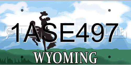 1ASE497 Wyoming License Plate