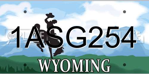 1ASG254 Wyoming License Plate