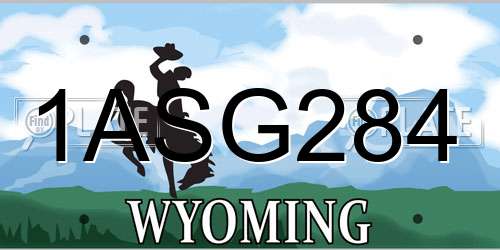 1ASG284 Wyoming License Plate